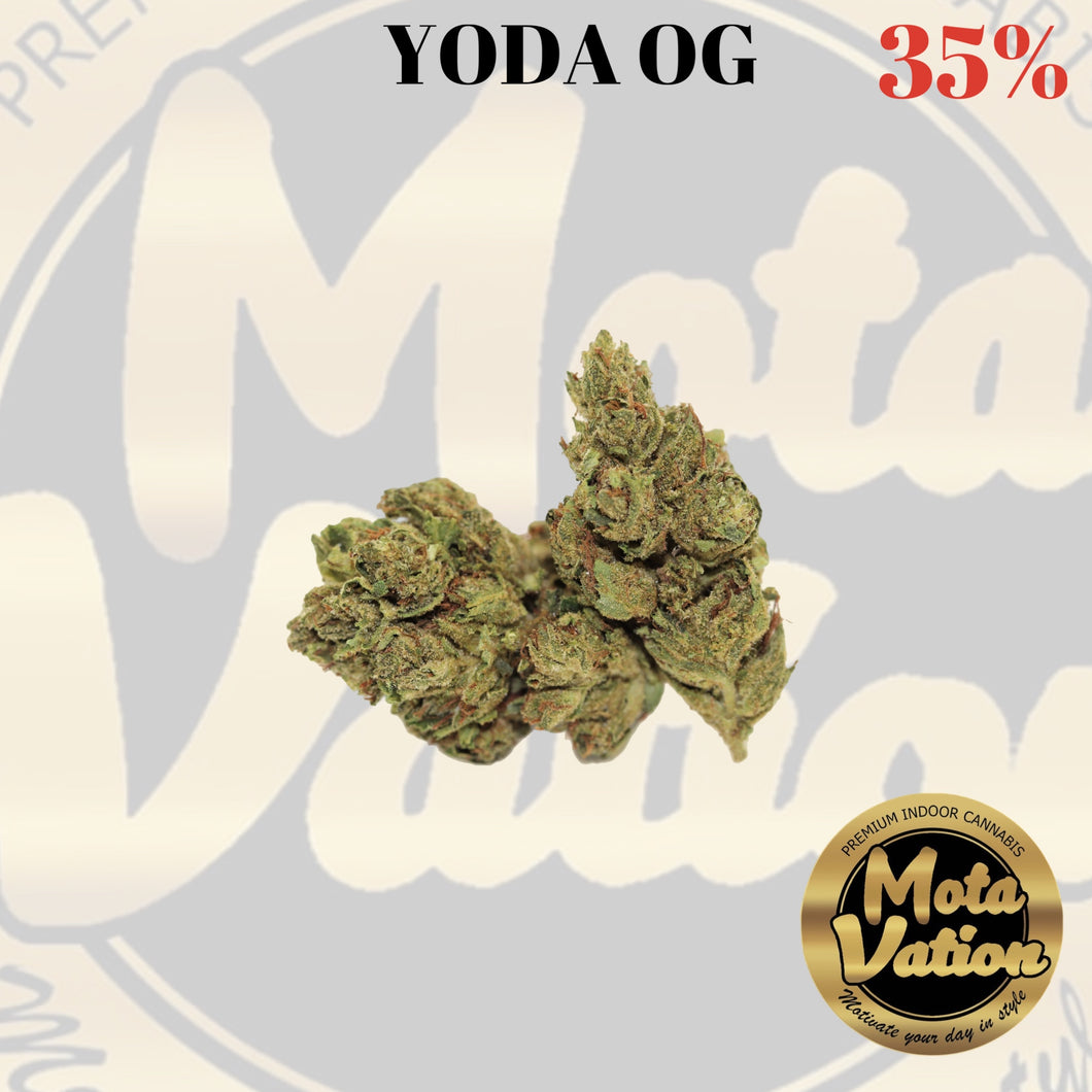 Mota-Vation - YODA OG (Indica) 35%  🔥🔥🔥🔥 🔥🔥 🔥 ***SUPER SALE*** (2FOR $50)