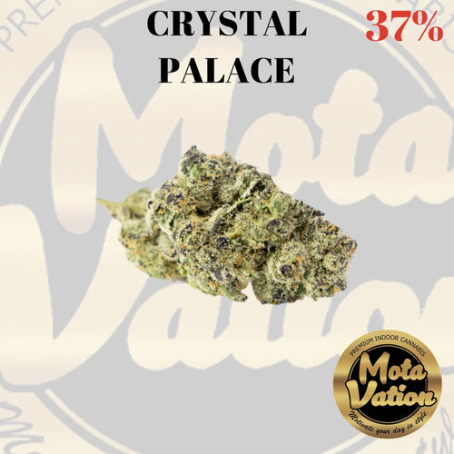 Mota-Vation - CRYSTAL PALACE (Indica) 37%  🔥🔥🔥🔥🔥 ***SUPER SALE***