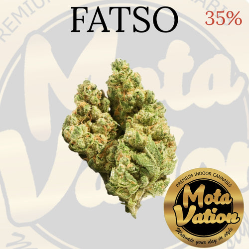 Mota-Vation  FATSO 🔥🔥🔥🔥🔥🔥  (Indica) 35% (2 for $60) ***SUPER SALE***