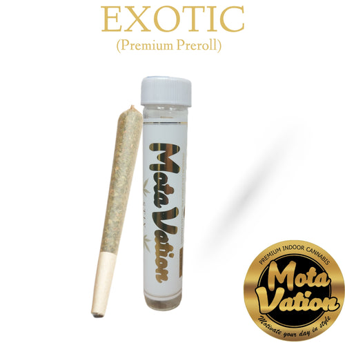 Mota-Vation stix EXOTIC (Premium Pre-Rolled Cone) 🔥🔥🔥🔥🔥🔥 **NEW PRICE**
