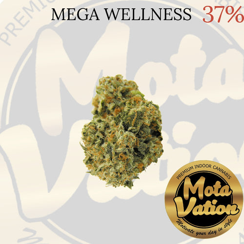 Mota-Vation  MEGA WELLNESS 🔥🔥🔥🔥🔥🔥  (Indica) 37% **(2 for $70)** ***SUPER SALE***