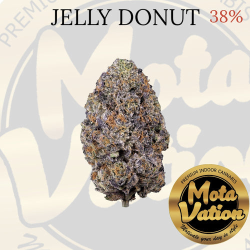 Mota-Vation  JELLY DONUT 🔥🔥🔥🔥🔥🔥🔥🔥  (Sativa) 38% ***SUPER SALE*** (2 for $80)