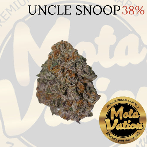 Mota-Vation  UNCLE SNOOP 🔥🔥🔥🔥🔥🔥🔥🔥  (Indica) 38% ***SUPER SALE***